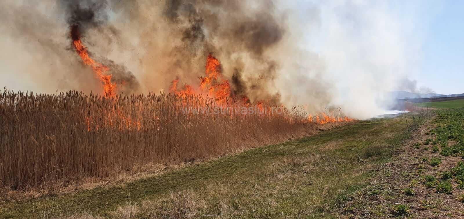 Incendiu de proporții în comuna Văleni  (video)