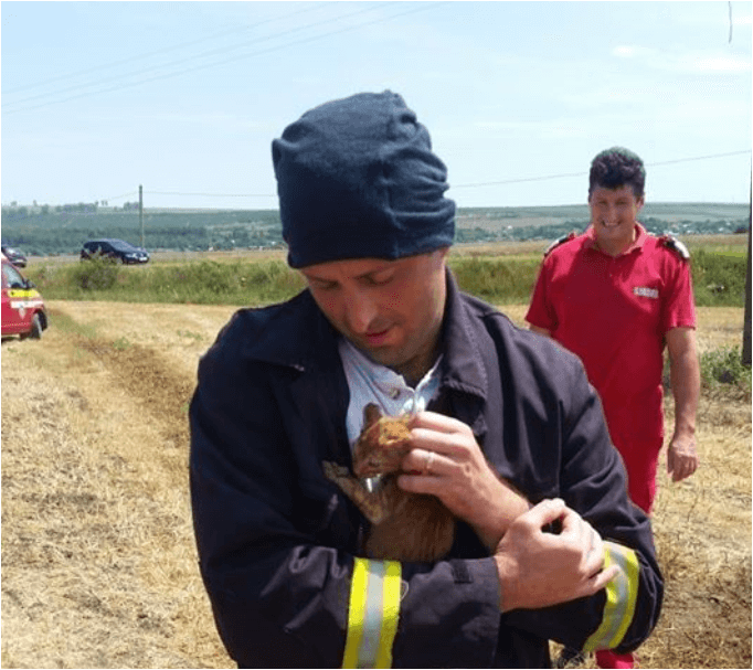 Pisoi salvat din flăcări de pompieri