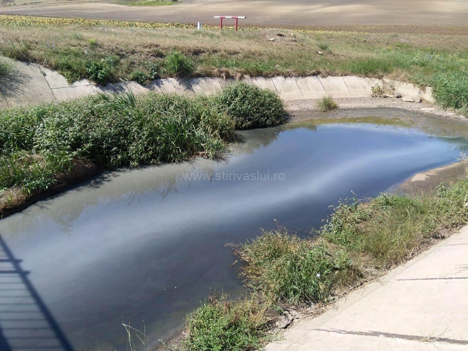 Poluare accidentală pe cursurile de apă Bârlad și Chițcani