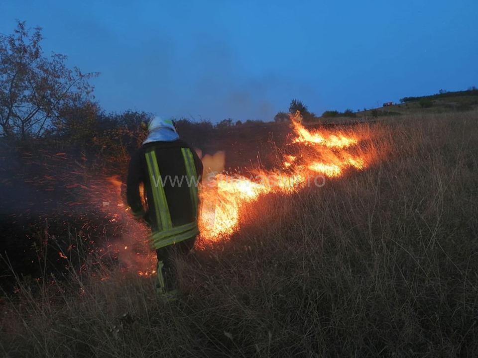 Incendiu de vegetaţie uscată, pe zece hectare, la Solești