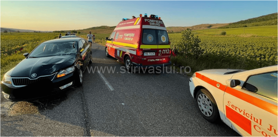 Accident tragic în comuna Voinești. Un copil a decedat